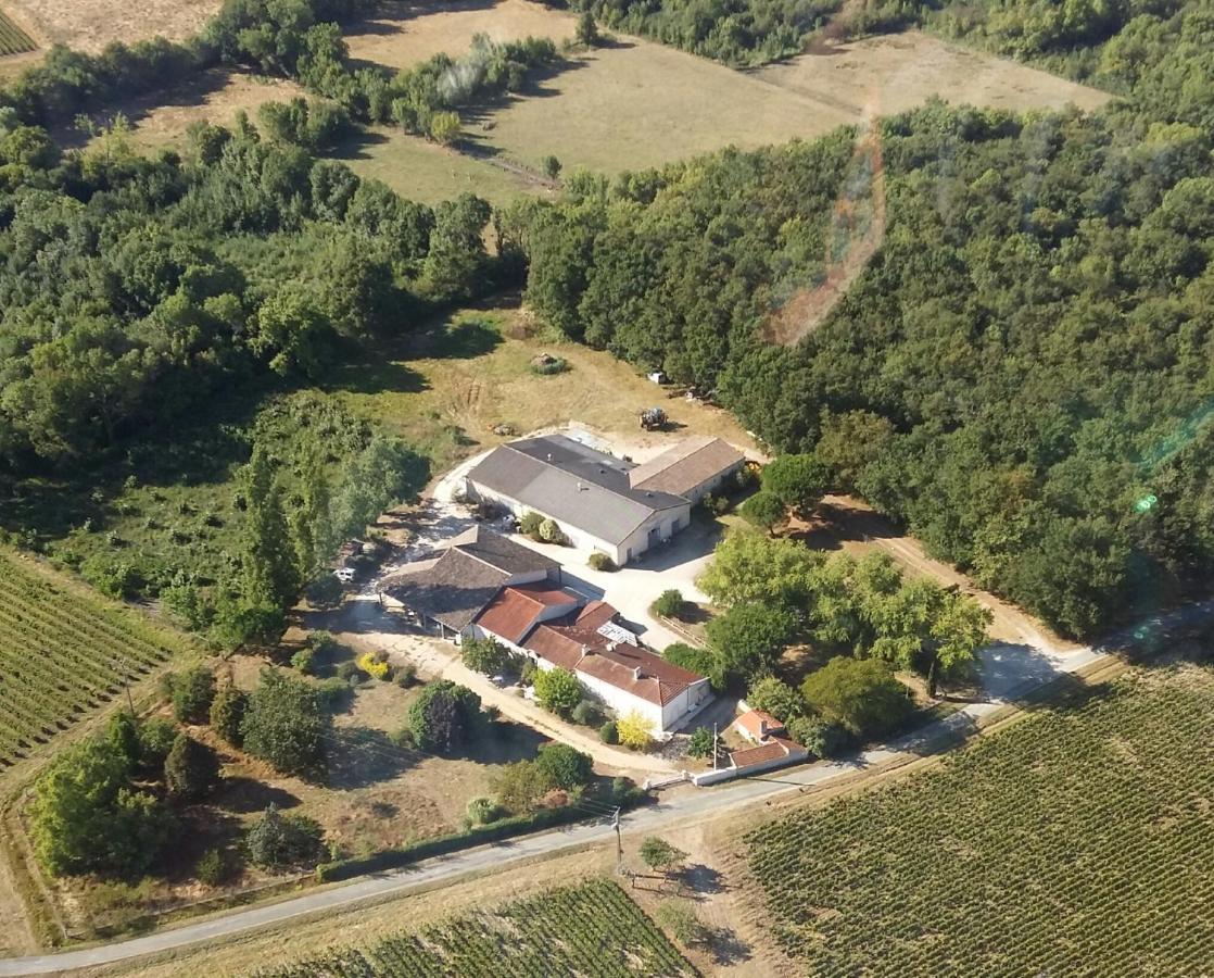 Les Chambres D'Hotes De Chateau Vieux Robin Bégadan Εξωτερικό φωτογραφία